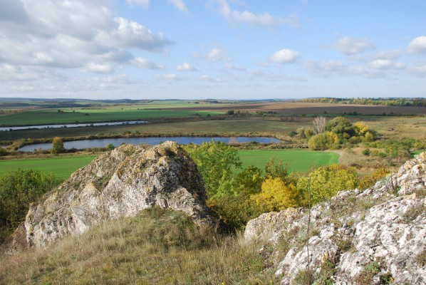 Realizace lokálních biocenter